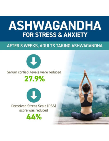 Ashwagandha KSM-66 60 caps
