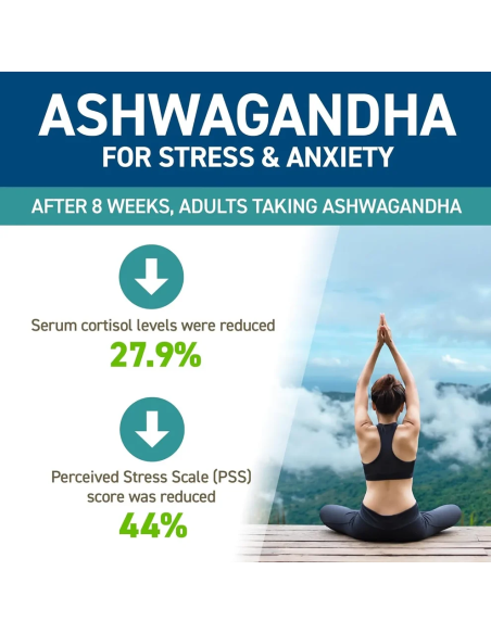 Ashwagandha KSM-66 60 caps