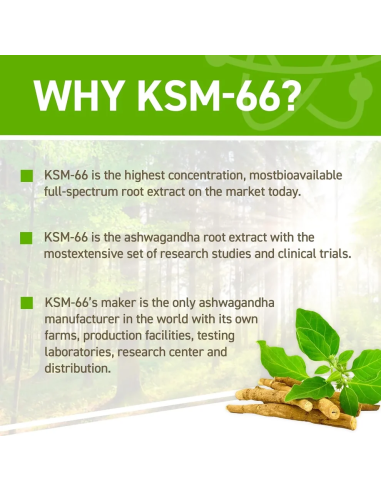Ashwagandha KSM-66 60 caps