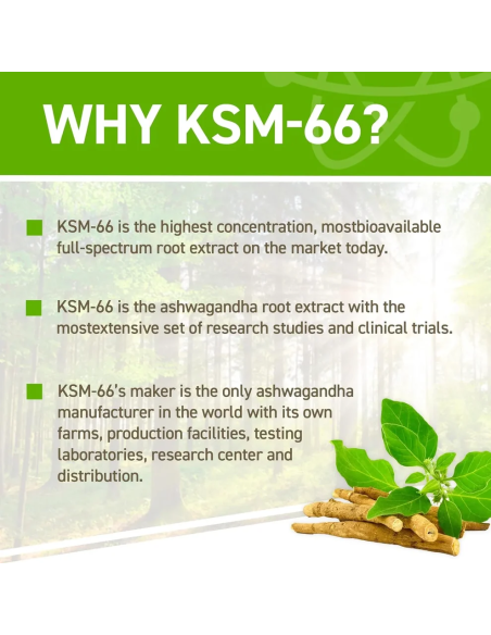 Ashwagandha KSM-66 60 caps