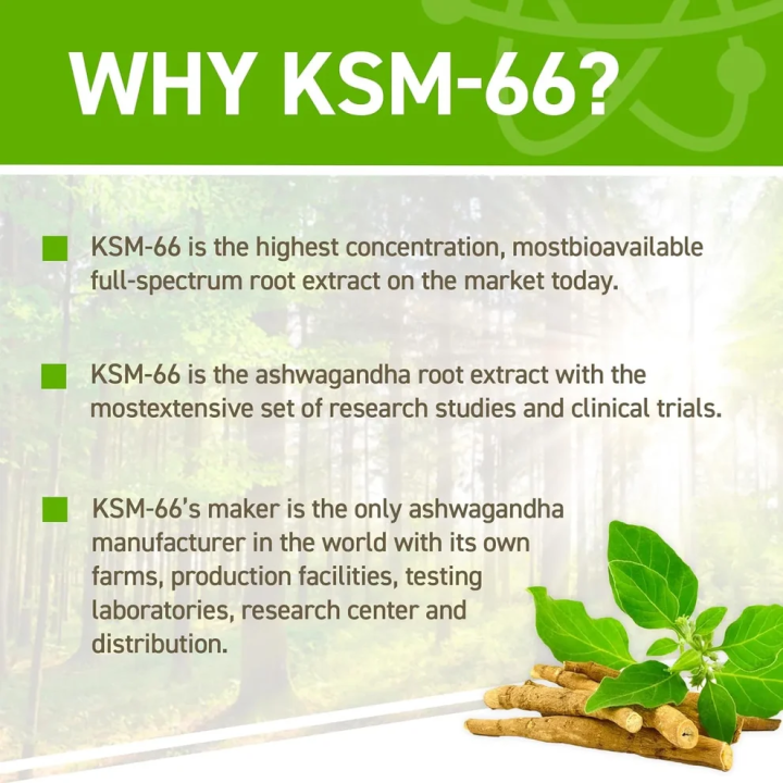 KSM-66 Ashwagandha Applied Nutrition: Root Extract