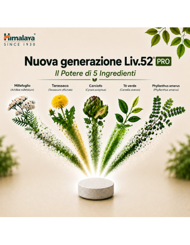 Liv.52 DS PRO 60 tablets