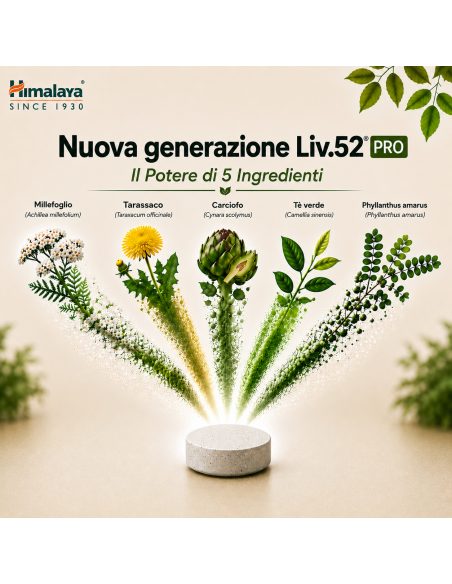Liv.52 DS PRO 60 tablets