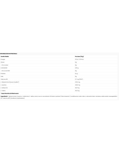 Premium BCAA Zero 500 grams