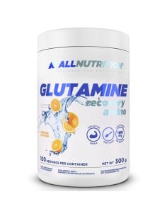 Glutamine Recovery Amino 500 grams