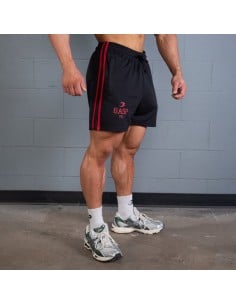 2 Stripe Standard Mesh Shorts 4"