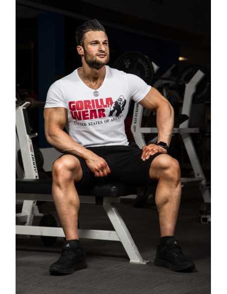 Utah V-Neck T-Shirt
