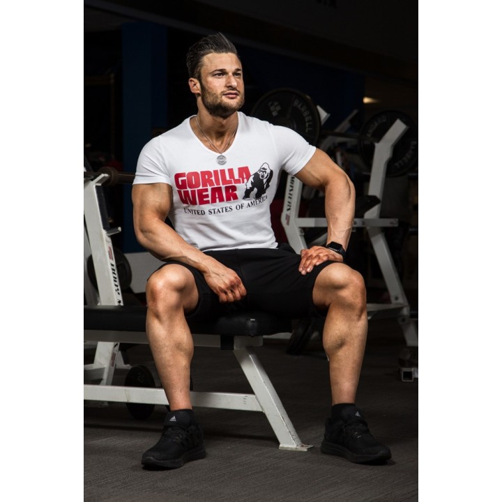 Utah V-Neck T-Shirt