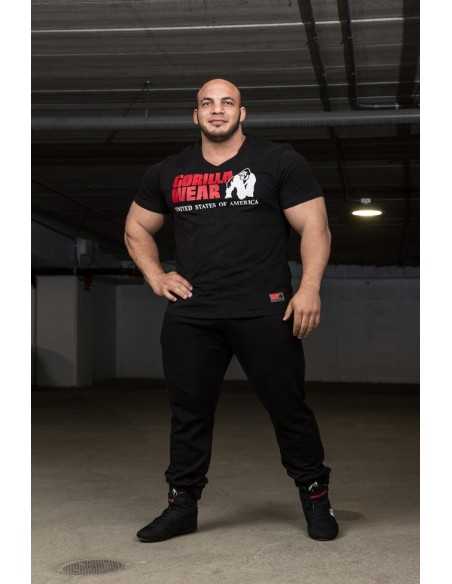 Utah V-Neck T-Shirt