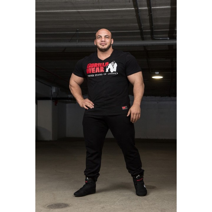 Utah V-Neck T-Shirt