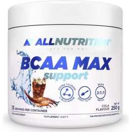 BCAA 2:1:1 in polvere 250 g ALLNUTRITION: con glutammina