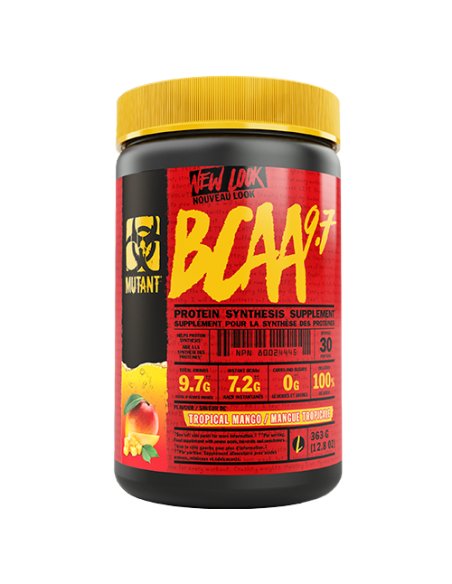 Bcaa 9.7 348 gr